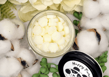 Load image into Gallery viewer, Fresh and Clean Wax Melt top 2oz