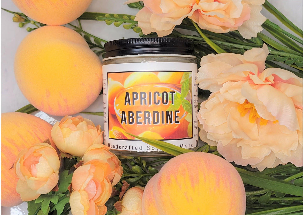 Apricot Aberdine Wax Melts - Happy Panda Home Brands